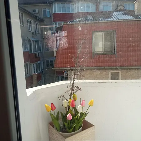 International 2-star Spacious 88 Sq M